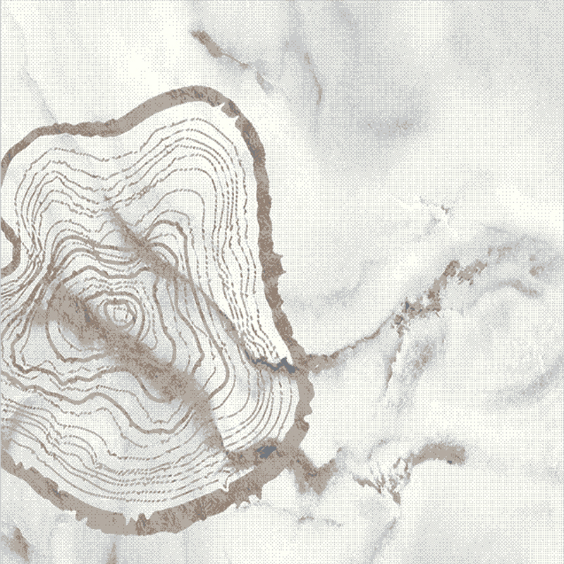 04ff0785ed14c753a2e8dc4e3b6d3641.jpg Echo 24 - Image 1