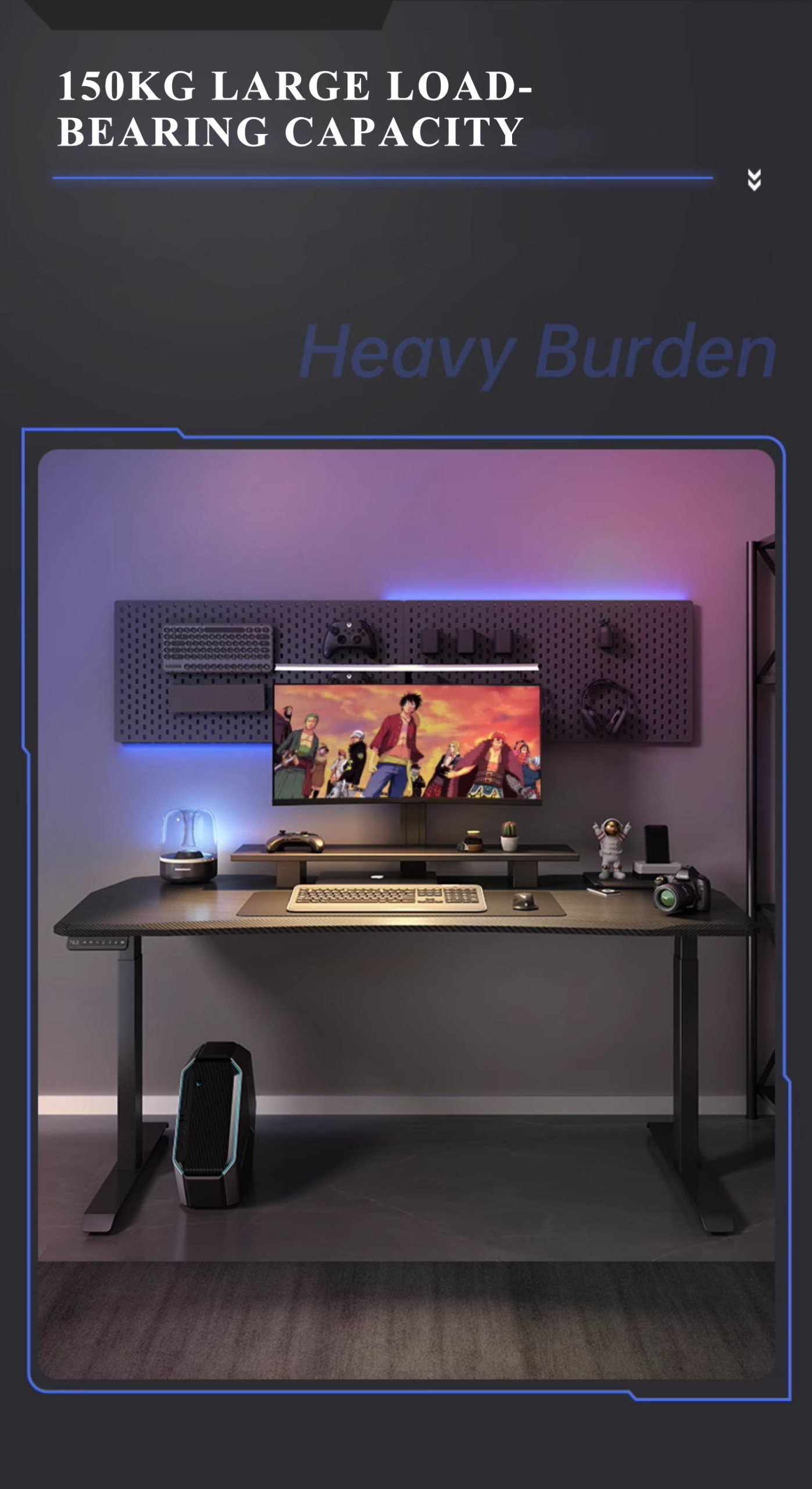 SD-Fibre 产品图片