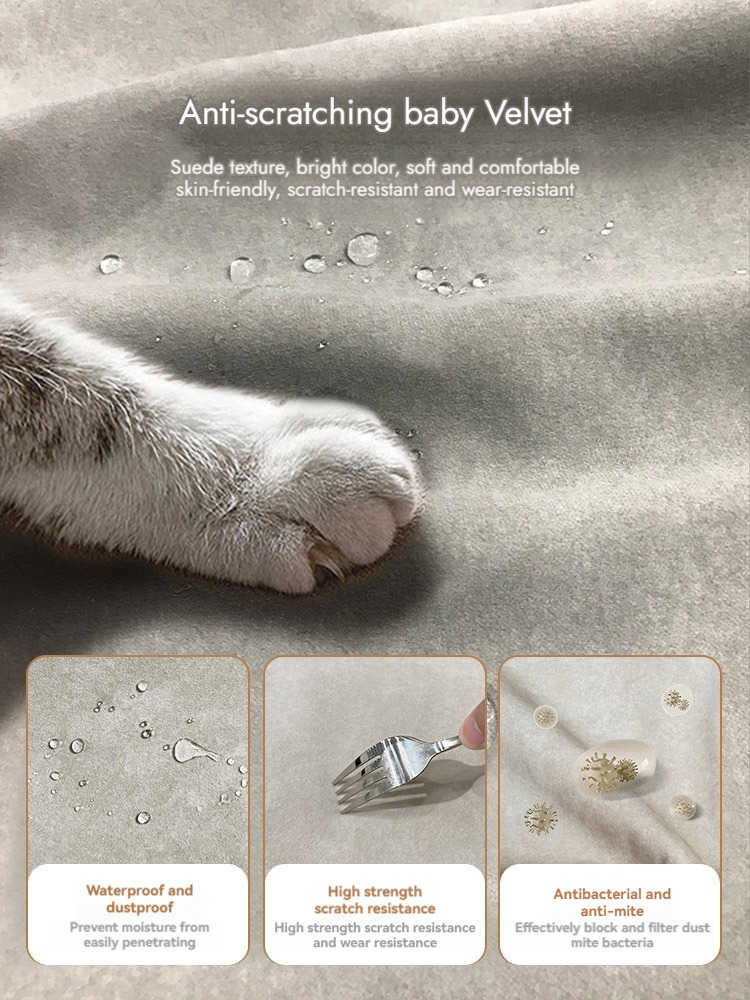 Chateau 产品图片