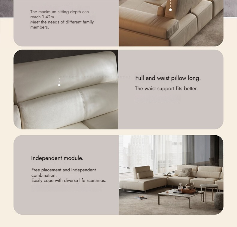 Edition 产品图片