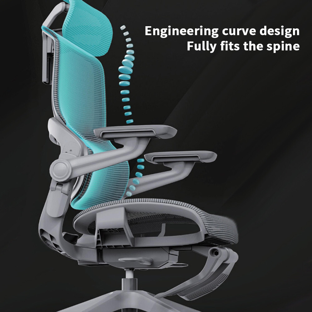 Robot Thu 产品图片