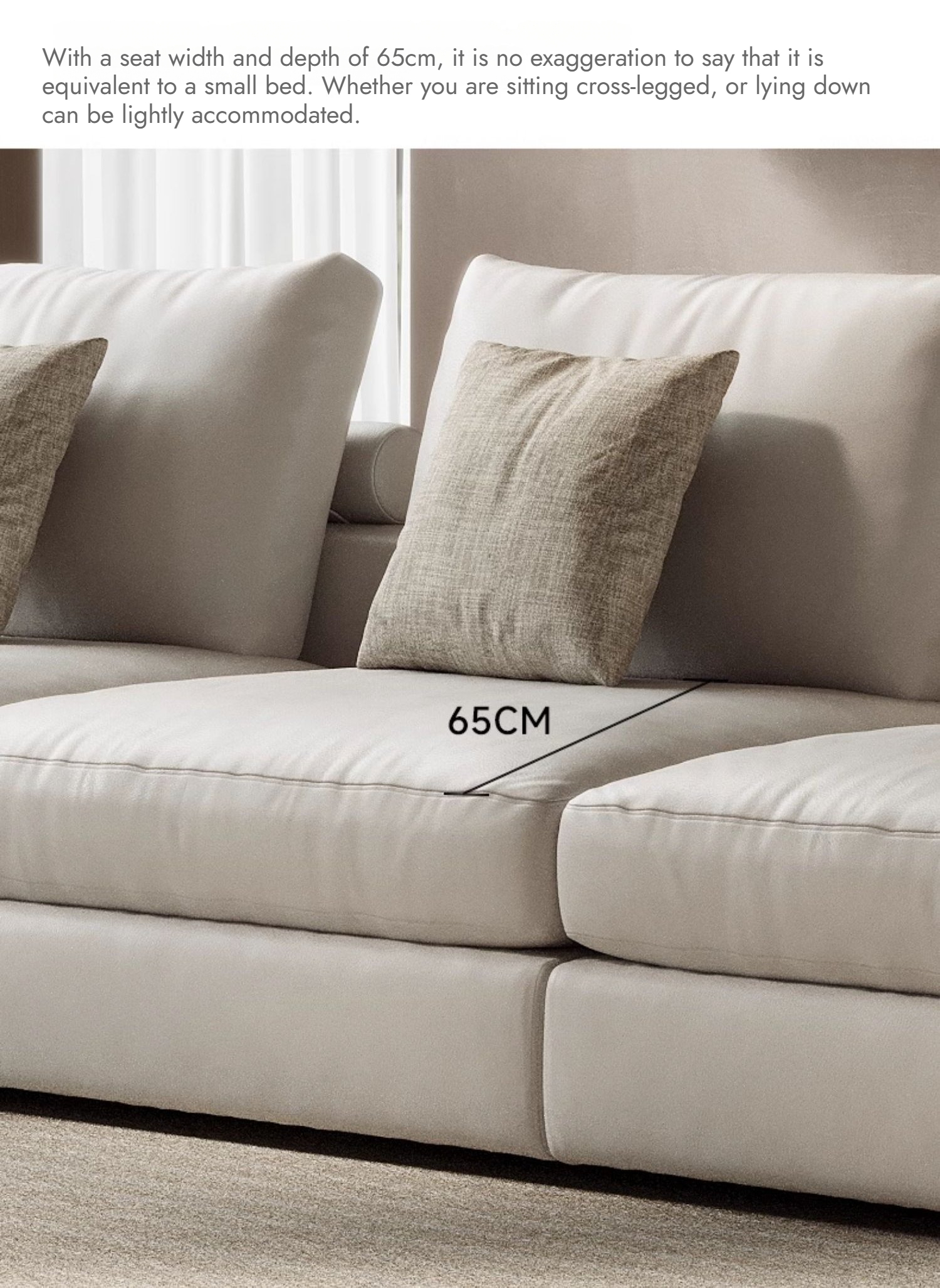 Jellyfish 产品图片