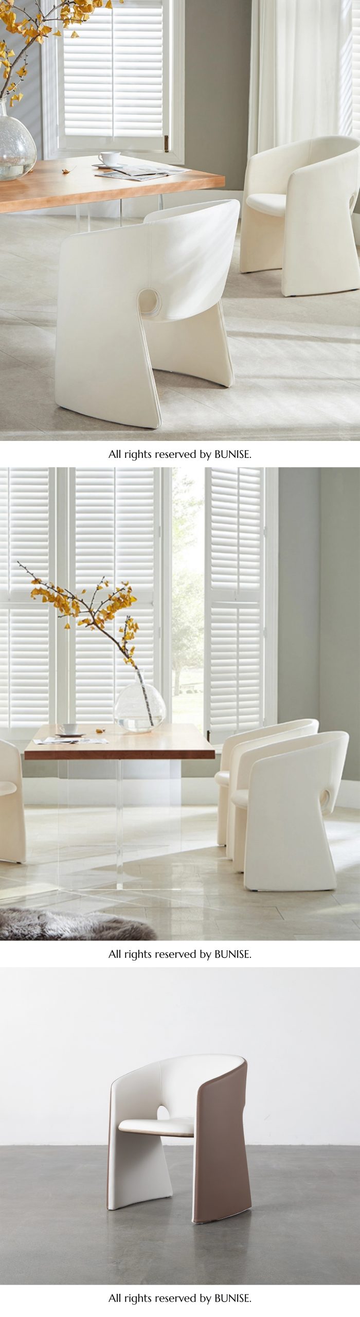 celeste 产品图片