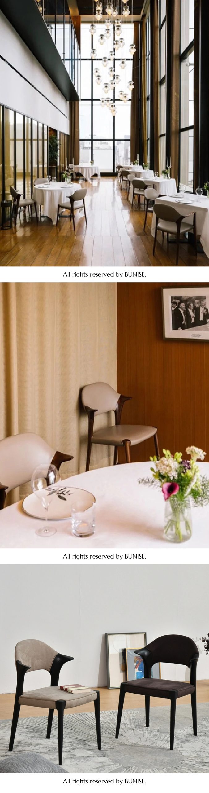 Xenon 475 产品图片