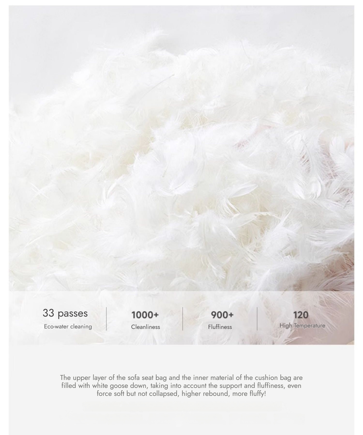 Jellyfish 产品图片