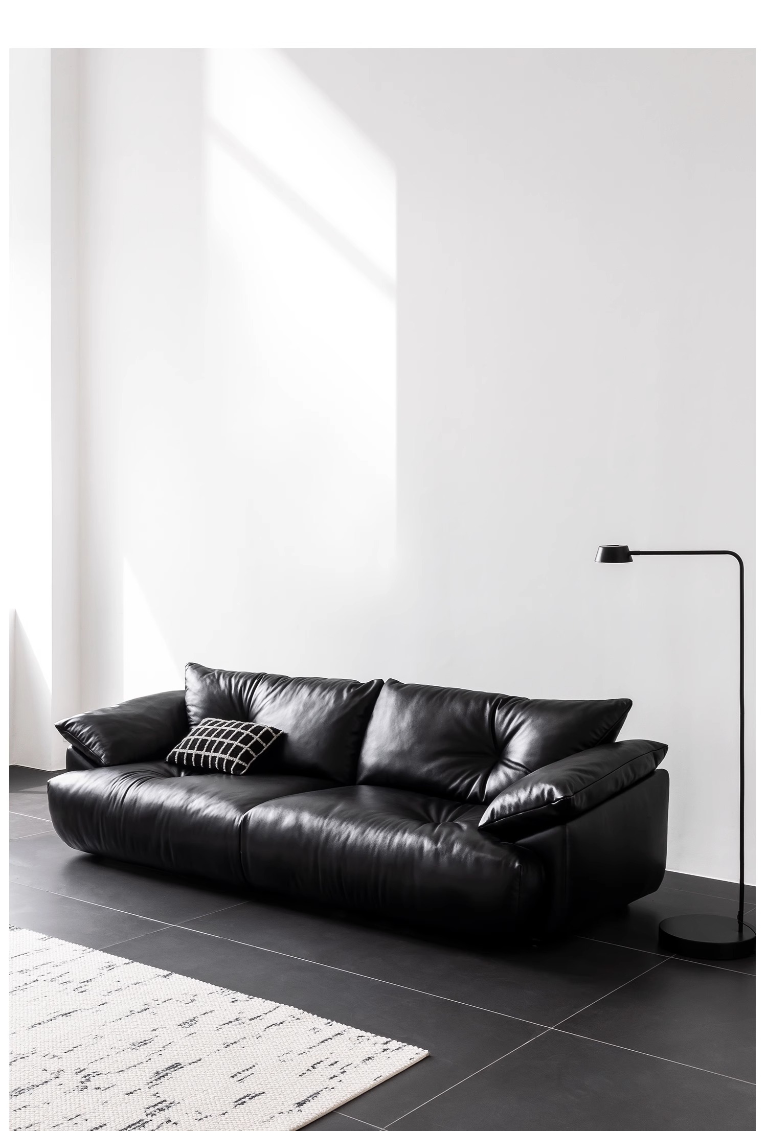 Radiance 产品图片