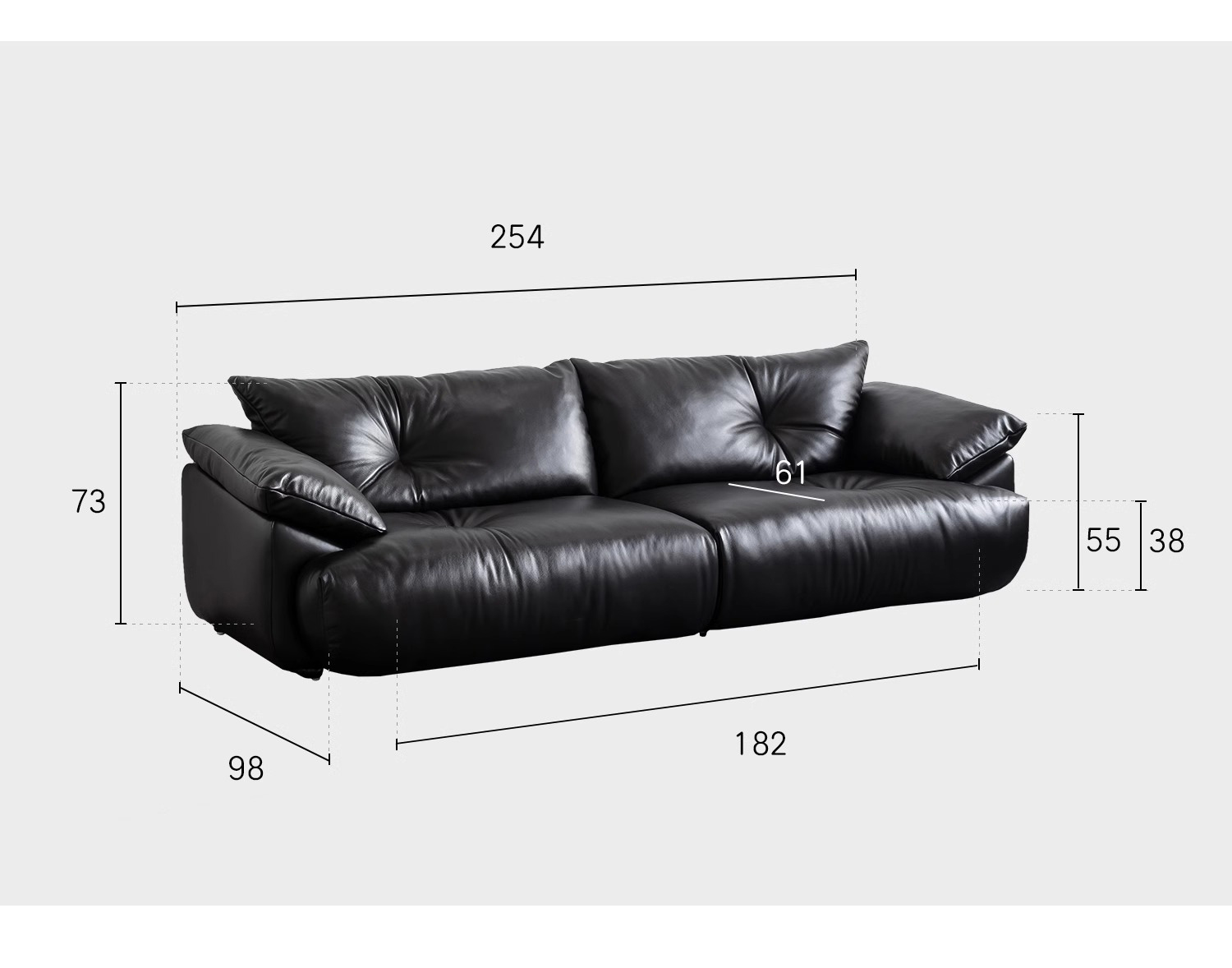 Radiance 产品图片