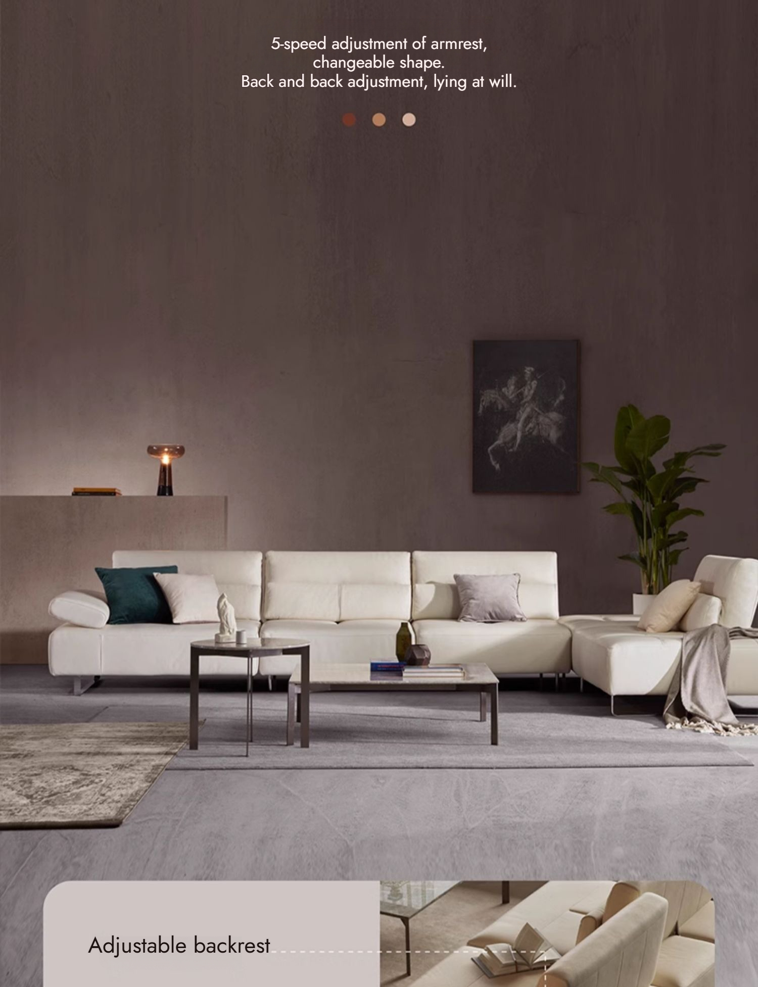 Edition 产品图片