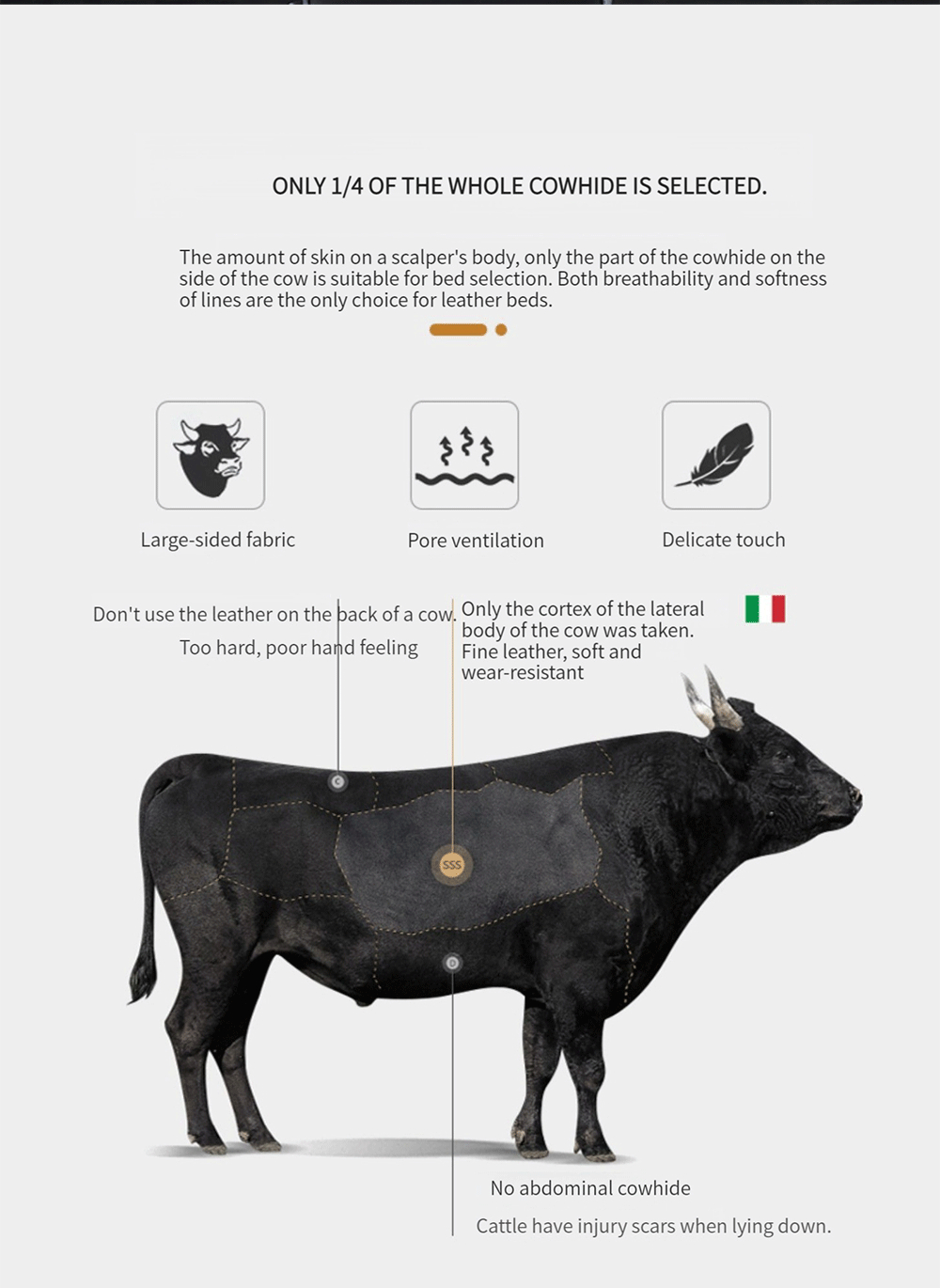 Riviera 产品图片