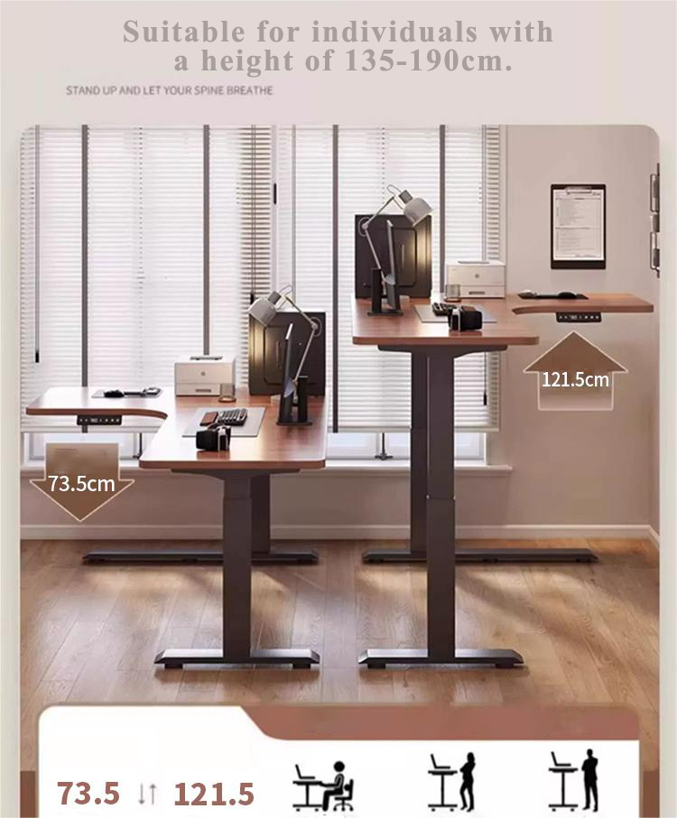 SD-Levo 产品图片