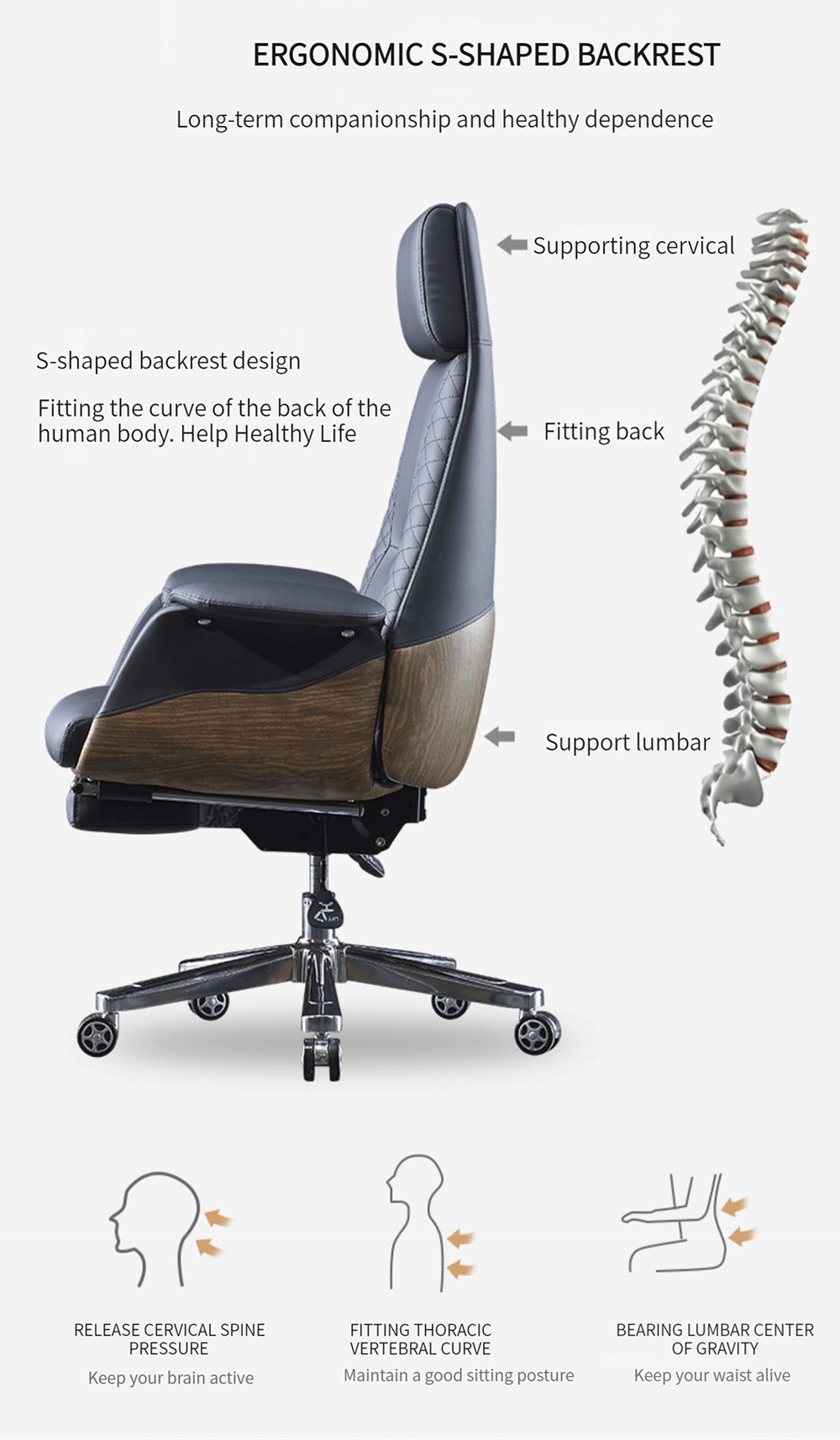 Riviera 产品图片